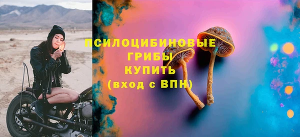 PSILOCYBIN Волоколамск