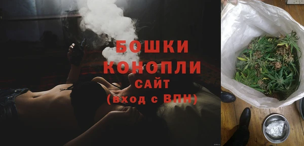 соль ск Волосово
