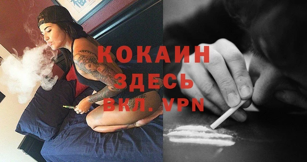 соль ск Волосово